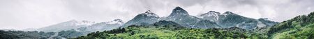 Mountain forest and clouds. Summer panoramic landscape
