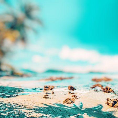 Tropical ocean beach, caribbean paradiseの写真素材