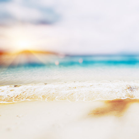 Tropical lost beach summer background