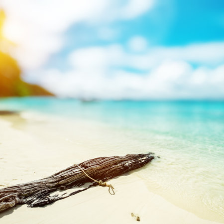 Caribbean paradise beach, tropical sunの写真素材