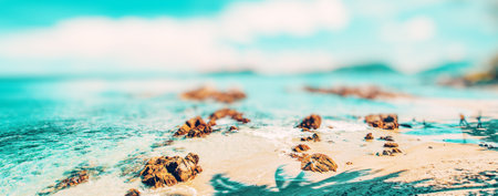 Caribbean paradise island simple backgroundの写真素材