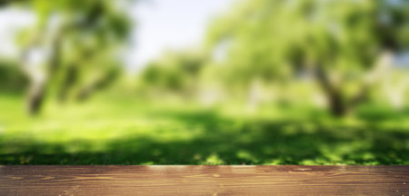 Park blur background. Summer day nature landscapeの写真素材