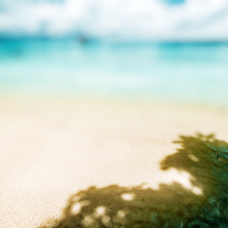 Tropical lost beach, ocean coastline