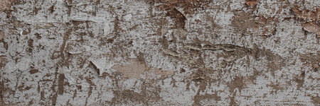 Stucco panoramic texture background detailed close-up surfaceの写真素材