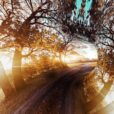 Autumn park background. Mixed media 3d renderingの写真素材