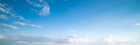 Blue sky. Summer tropical shot