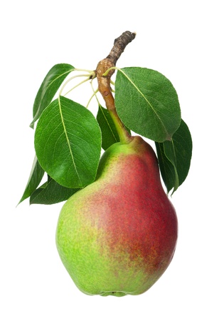 Ripe pear with leaf isolated on white backgroundの写真素材