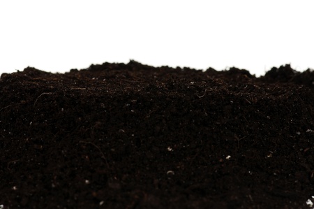 Organic soilの写真素材