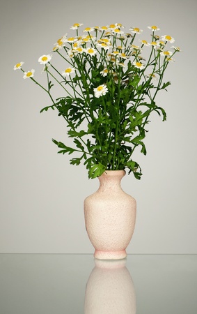 White flowersの写真素材