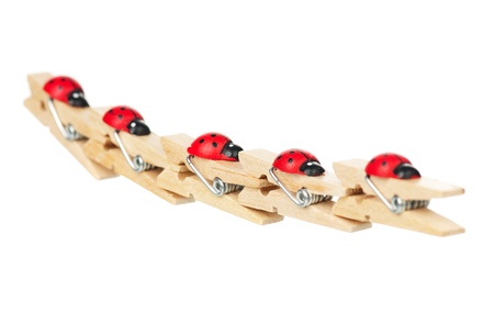 Wooden clothespinsの写真素材