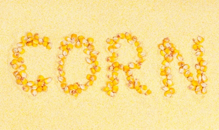 Sweet cornの写真素材