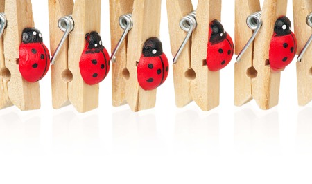 Wooden clothespins with ladybirds rowed over white backgroundの写真素材