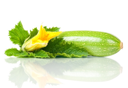 Fresh vegetable marrow with bloossom isolated on white backgroundの写真素材