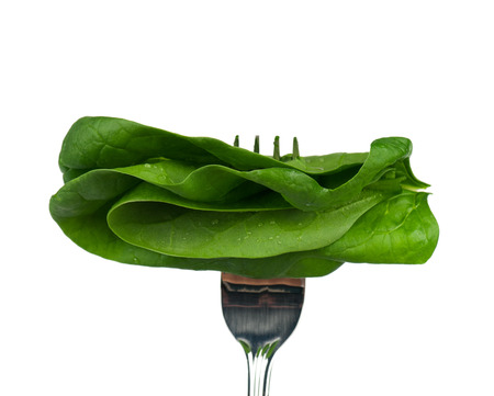 Spinach leaves on a fork  isolated on a white backgroundの写真素材