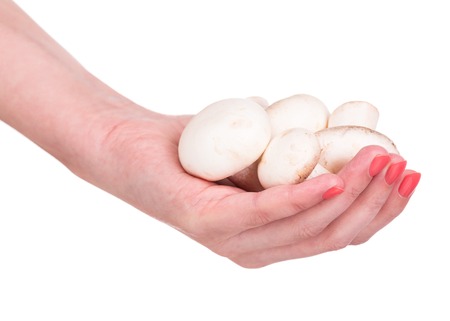 Raw dirty champignons in the female hand isolated on white backgroundの写真素材