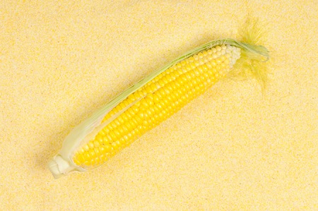 Raw ripe sweetcorn with groats over flour background