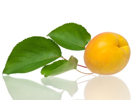 Ripe yellow apricot fruit isolated on white background cutoutの写真素材