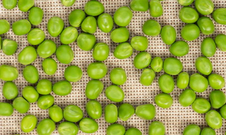 Fresh green peas beans on a burlap backgroundの写真素材