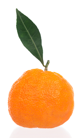 Fresh ripe tangerine with green leaf isolated over white backgroundの写真素材