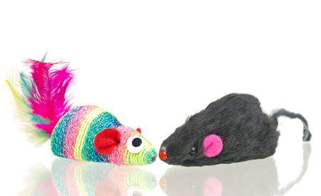 Toy mice with ball for little kitten isolated on white backgroundの写真素材