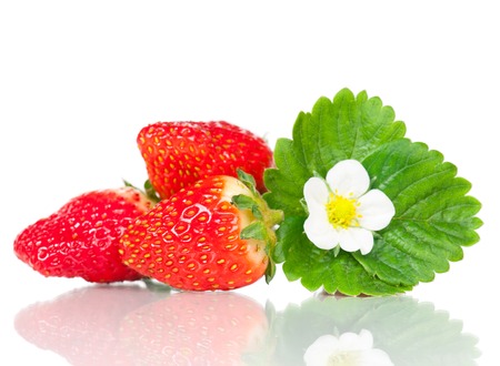 Ripe sweet strawberries with leaf and bloom isolated on a white backgroundの写真素材