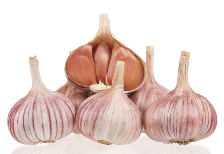 Raw garlic bulbs with cloves isolated on white backgroundの写真素材