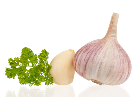 Garlic bulb with fresh parsley on white background cutoutの写真素材