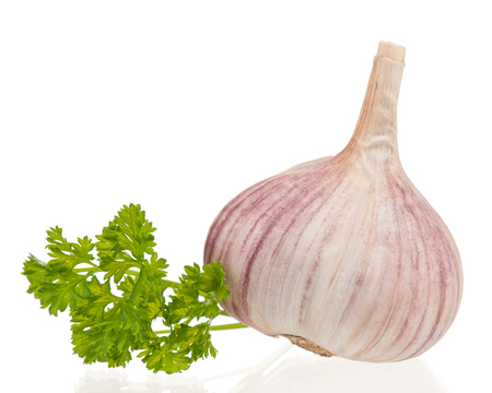Garlic bulb with fresh parsley on white background cutoutの写真素材