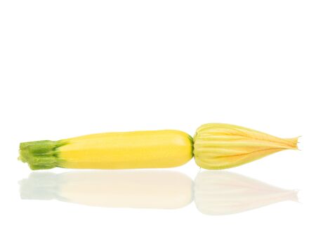 Fresh vegetable marrow isolated on white backgroundの写真素材