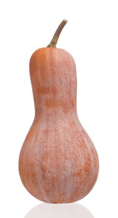 Orange long pumpkin isolated on white background cutoutの写真素材