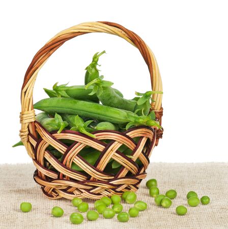 Fresh peas pods in a wicker basket on the sac isolated over white backgroundの写真素材
