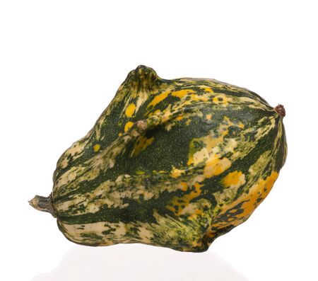 Decorative little pumpkin isolated on a white backgroundの写真素材