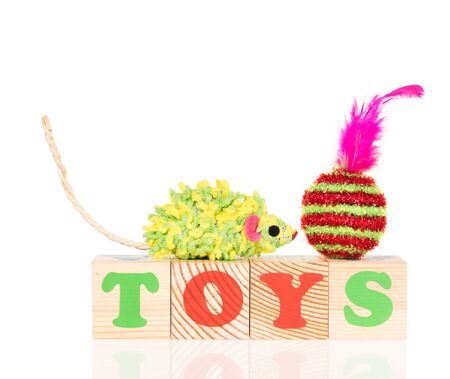 New playing cubes with pet toy isolated over white backgroundの写真素材