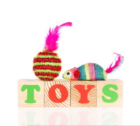New playing cubes with pet toy isolated over white backgroundの写真素材