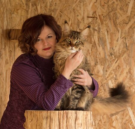 Fluffy Maine Coon cat with young woman over dirty yellow backgroundの写真素材