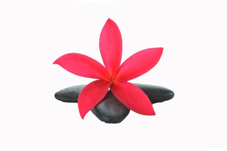 Beautiful red orchid and therapy stones isolatedの写真素材