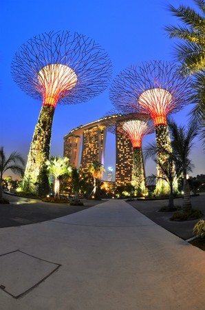 Supertrees at Gardens by the Bay. The tree-like structures are fitted with environmental technologies that mimic the ecological function of trees.のeditorial素材