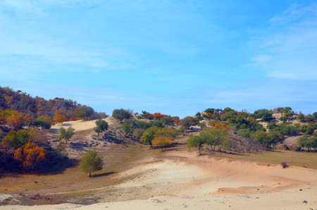 autumn seneryの写真素材