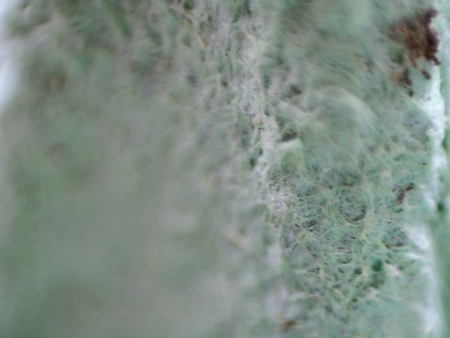 Micro shot of dirty fibers of a recyclable egg carton.の写真素材