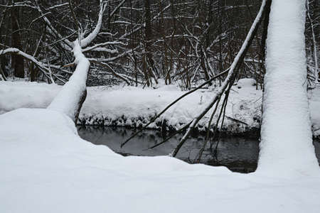 Winter river. A winter river landscapeの写真素材