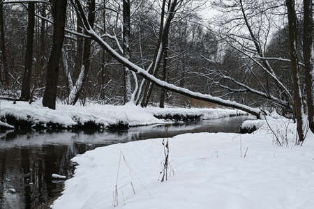 River in wintertime and landscape with forest.の写真素材