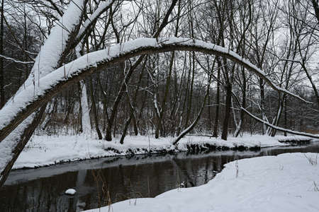 Winter river landscape in the morning.の写真素材
