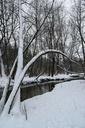 Landscape in winter by the riverの写真素材