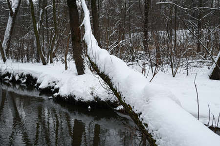 Cold morning in a wintry river landscape.の写真素材