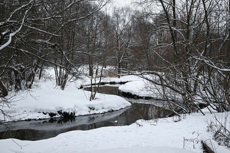 Winter view of small river forest rangeの写真素材