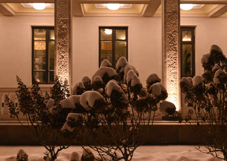 Cute winter bushes with snow on the background of a restaurant in the parkの写真素材