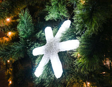 New Year's 2021 White Star on the Christmas Treeの写真素材