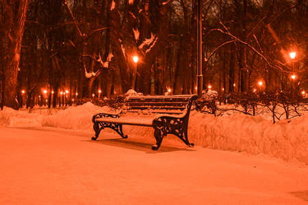Winter night landscape scene of snow covered bench among snowy trees and shining lights during snowfallの写真素材