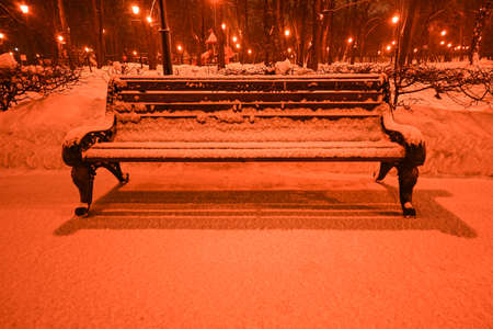 Unforgettable and beautiful winter night landscape in the alley of the city park with a bench in the foregroundの写真素材