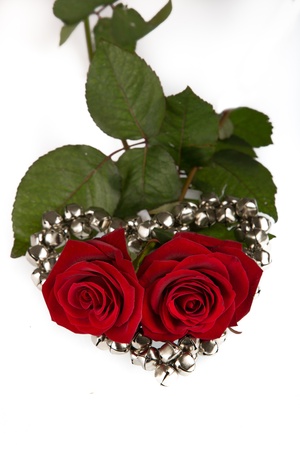 Roses within a metal heartの写真素材